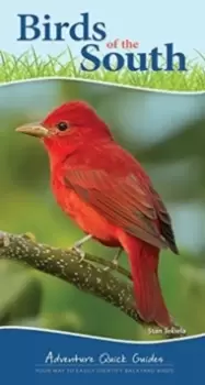 Image of Birds of the South : Your Way to Easily Identify Backyard Birds