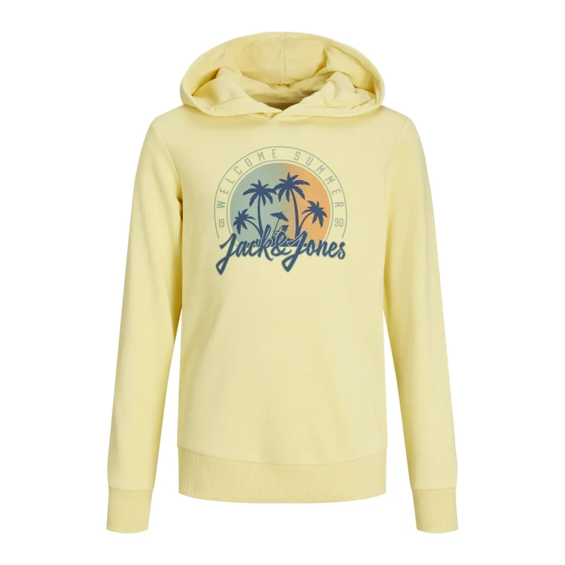 Image of jack & jones Child hoodie Jack & Jones Summer SMU Vibe Beige Male 8 ans