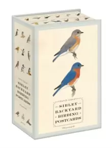 Image of Sibley Backyard Birding Postcards : 100 Postcards