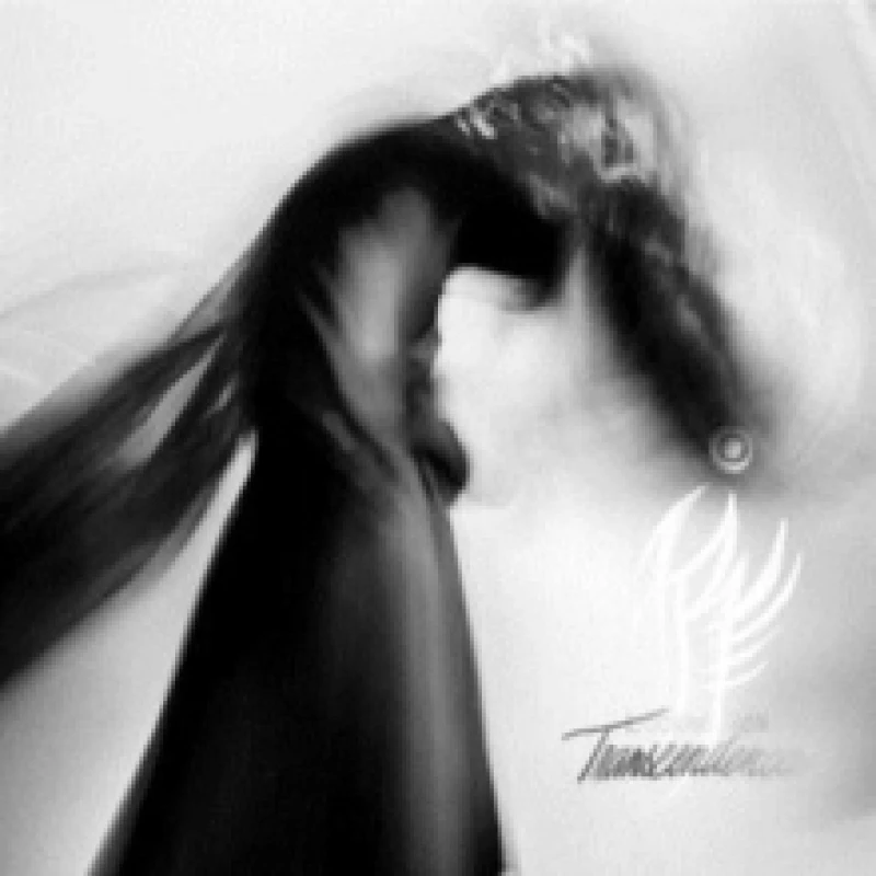 Image of Looking for Transcendence Vinyl