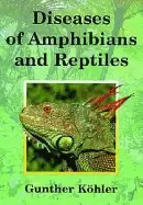 Image of diseases of amphibians and reptiles