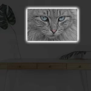 Image of 4570DHDACT-065 Multicolor Decorative LED Lighted Canvas Painting