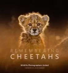 Image of Remembering Cheetahs
