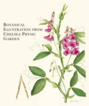 Image of Botanical illustration from Chelsea Physic Garden by Andrew Brown