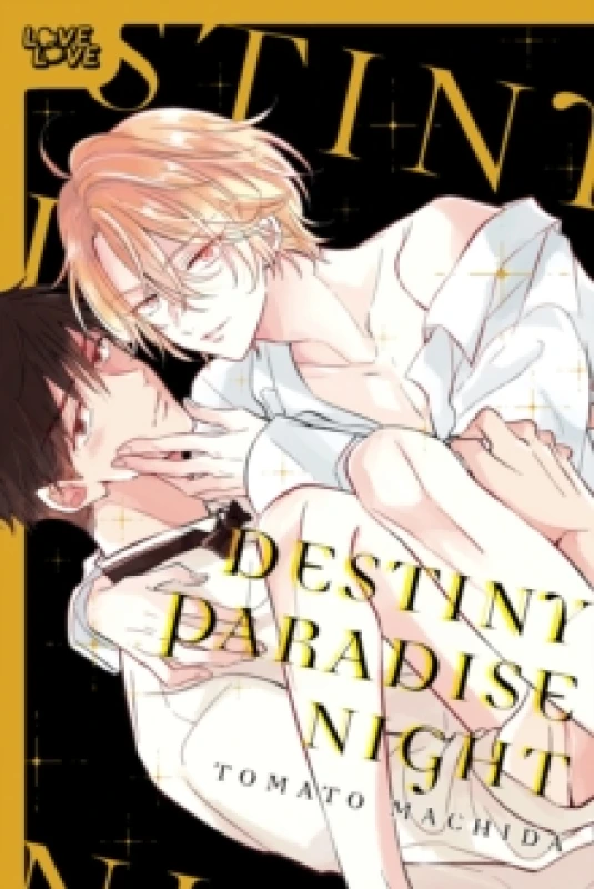 Image of Destiny Paradise Night Paperback / softback
