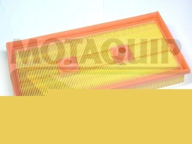 Image of MOTAQUIP Air filter MOTAQUIP VFA1170