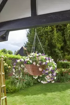 Image of Hanging Basket with Faux Petunia Blooms - White - Plastic/Metal