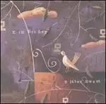 Image of bitter sweet