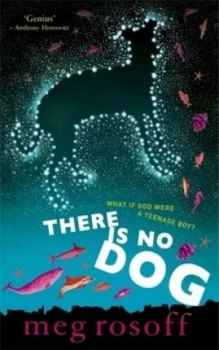Image of There Is No Dog by Meg Rosoff Paperback