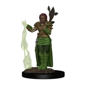 Image of D&amp;D Icons of the Realms Premium Miniature pre-painted Human Female Druid Case (6)