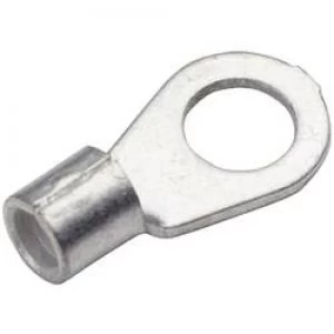 Image of Ring terminal Cross section max.10 mm2 Hole 10.5mm Not in