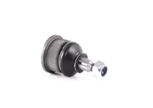 Image of RIDEX Ball joint OPEL,LOTUS,VAUXHALL 2462S0173 A111C6012F,352817,8977995 8977995,90004013