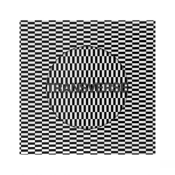 Image of Carter Tutti Void - Transverse Vinyl