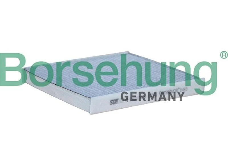 Image of Borsehung Pollen filter Borsehung B10513