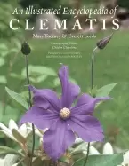 Image of illustrated encyclopedia of clematis