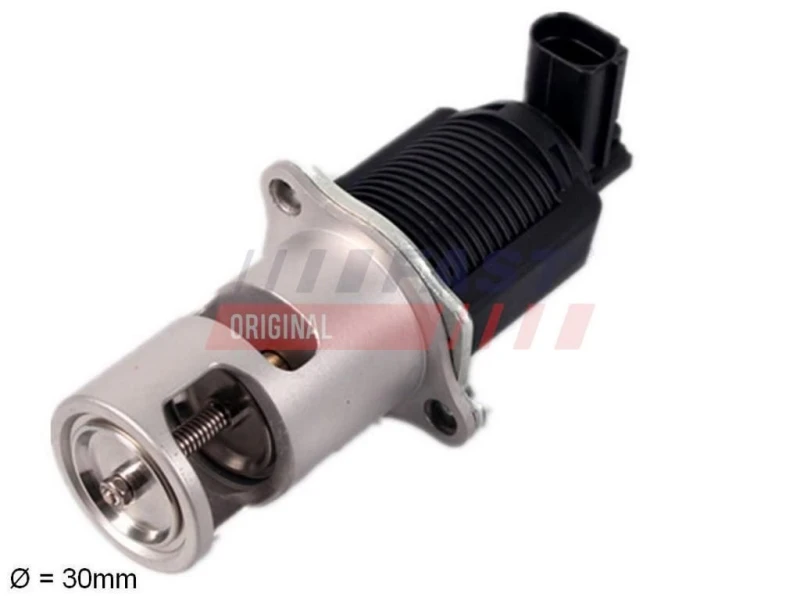 Image of FAST EGR valve FAST FT60207