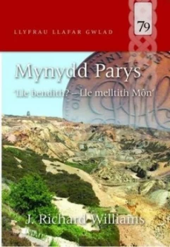 Image of Mynydd Parys by J. Richard Williams Paperback
