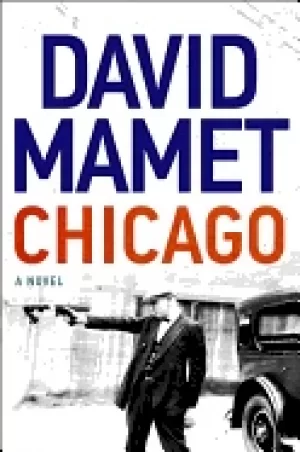 Image of chicago a novel