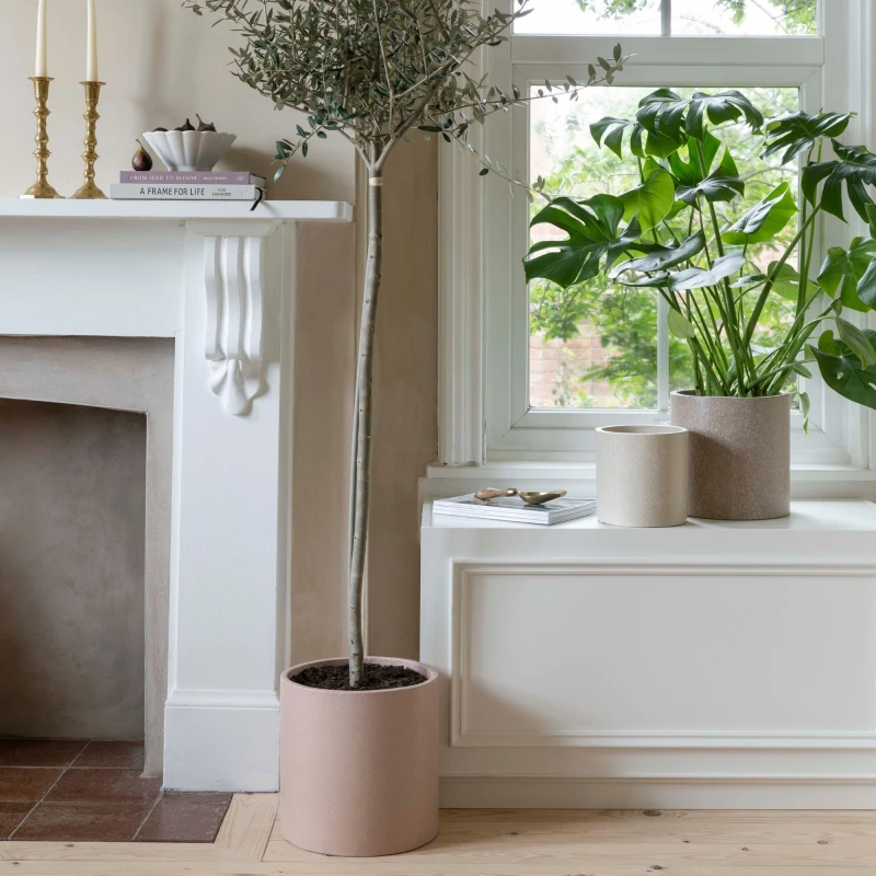 Image of Ivyline Ivyline Valetta Terrazzo Planter Set of 3
