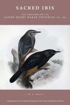 Image of Sacred Ibis by Prof. W. G. Hale