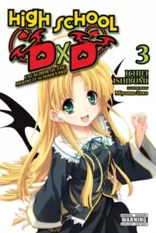 Image of High School DxD, Vol. 3 (light novel)