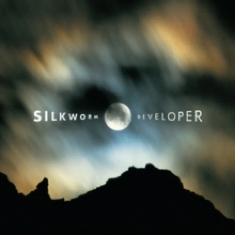 Image of Developer (Deluxe Edition) Vinyl