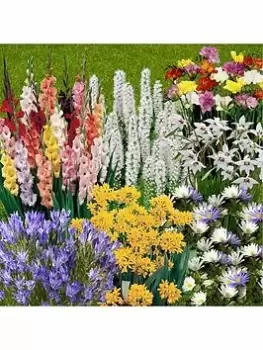 image of 300 Summer Flowering Bulbs In 7 Varieties