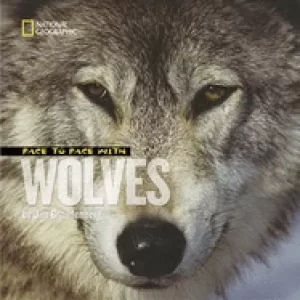 Image of face to face with wolves