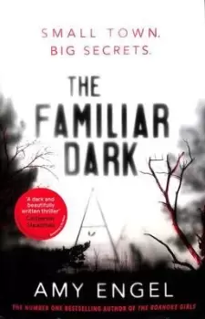 Image of The familiar dark by Amy Engel
