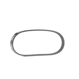 Image of RIDEX V-ribbed belt 305P0288 Serpentine belt,Auxiliary belt