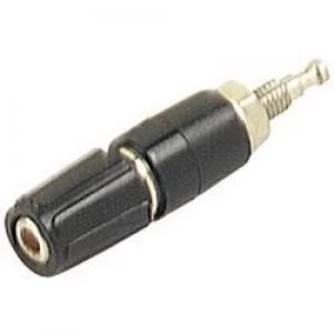 Image of Pole terminal Black 6 A SKS Hirschmann MPK 1 1 pc