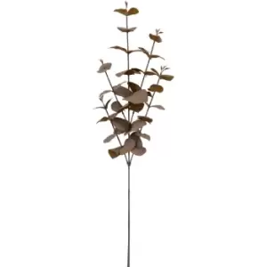Image of Crossland Grove Dry Look Eucalyptus Spray Brown (6Pk) H740Mm