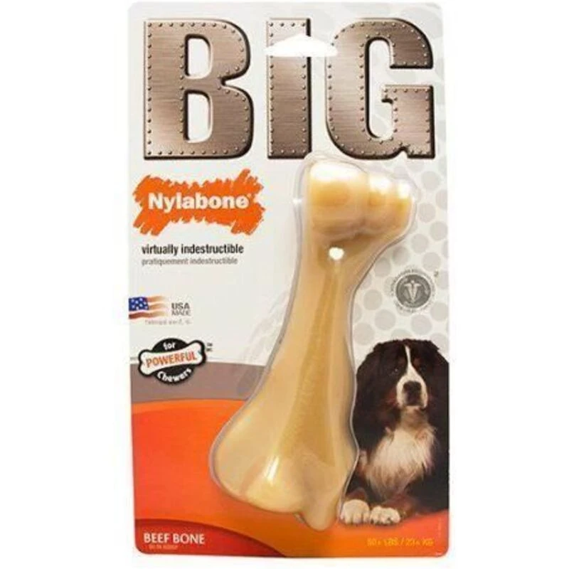 Image of NYLABONE Nylabone Dura Chew Chew Bone Toy, Beef Flavor ZF1367012_981302