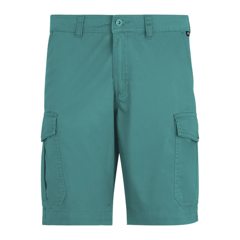 Image of Cargo shorts Regatta Ruwan Casual Vert Male 40