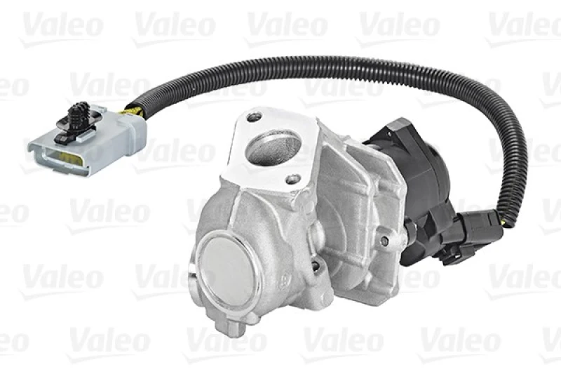 Image of EGR valve VALEO 700409
