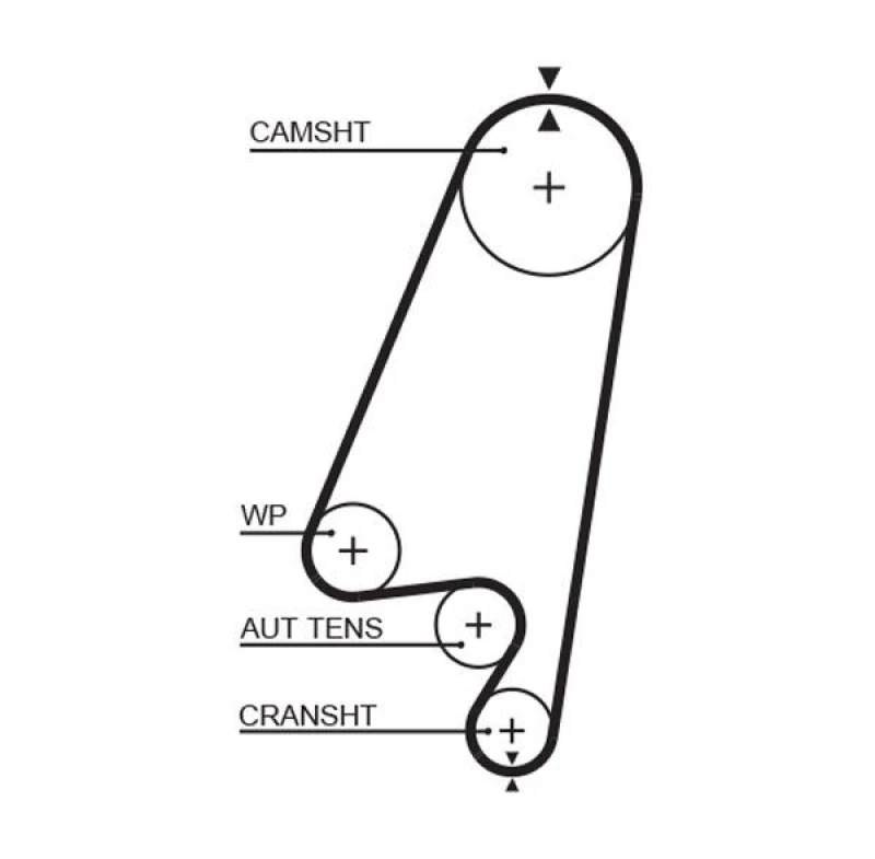 Image of GATES Timing Belt GATES 5367XS