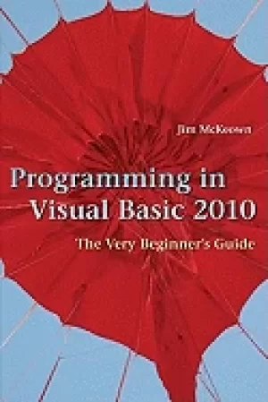 Image of programming in visual basic 2010