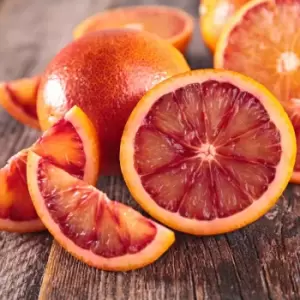 Image of YouGarden Blood Orange Citrus Tree in 6L Pot