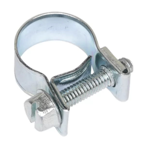 Image of Genuine SEALEY MHC1214 Mini Hose Clip Ø12-14mm Pack of 30