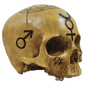 image of Witchcraft Pagan Skull