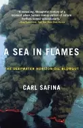 Image of sea in flames the deepwater horizon oil blowout