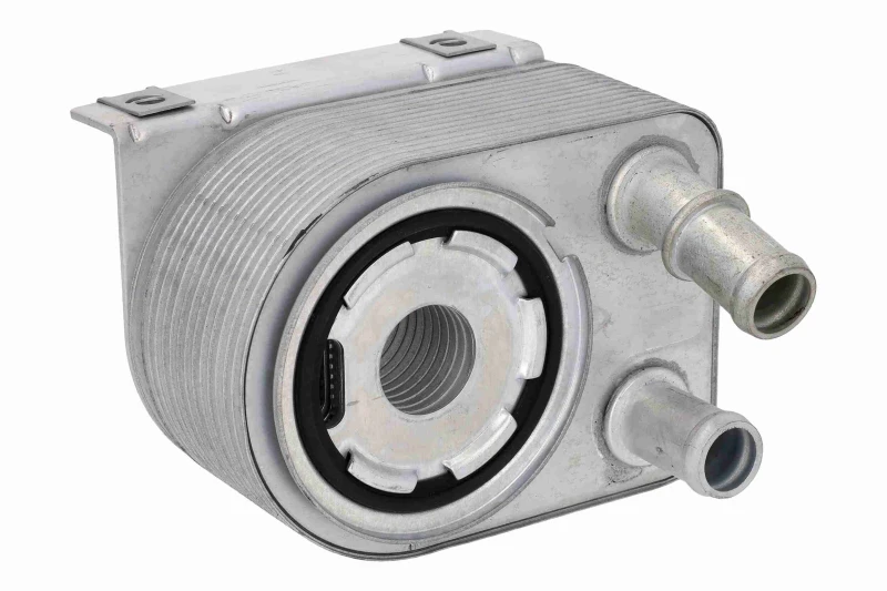 Image of Engine oil cooler VEMO V33-60-0018