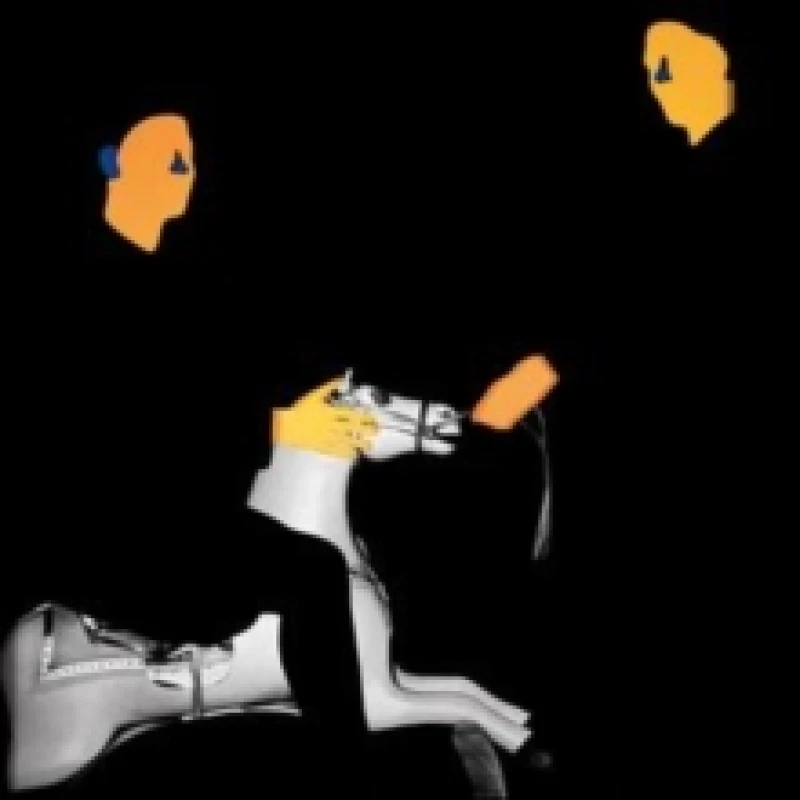 Image of MGMT Loss of Life (Vinyl) 12 Album Coloured Vinyl (Limited Edition)