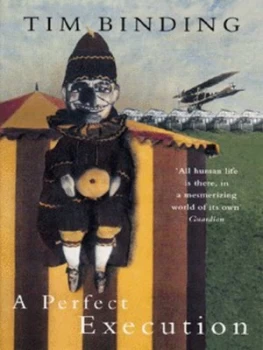 Image of A Perfect Execution by Tim Binding Book