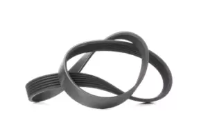 CONTITECH V-ribbed belt VW,AUDI,FORD 6PK923 028903137AM,057903137AA,057903137AA 6453VA,6453W0,46412707,71749441,7730054,1039800,VX028903137AMVX,6453VA