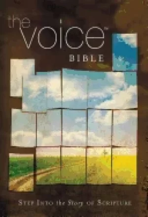 Image of voice bible hardcover step into the story of scripture