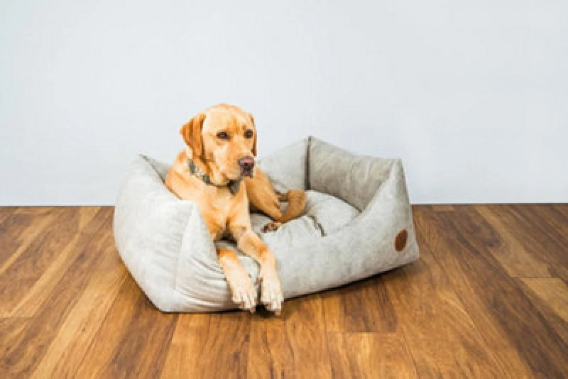 Image of Snug & Cosy Pets Snug And Cosy Velour Oyster Rectangle Bed Large