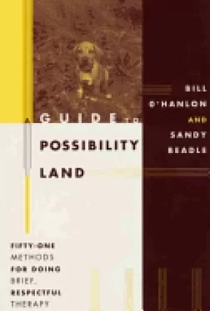 Image of guide to possibility land fifty one methods for doing brief respectful ther