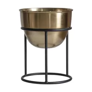 image of 31cm Gold and Black Plant Stand