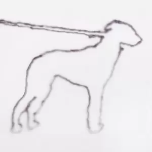 Image of Portrait of a Dog by Jonah Yano Vinyl Album